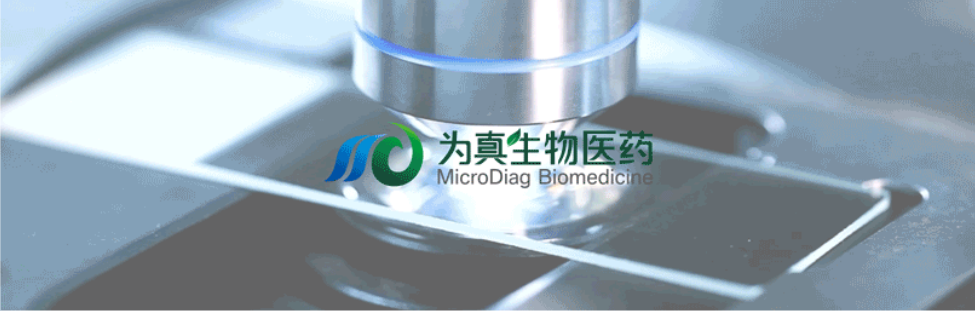 王莹院长领衔，王弢博士技术负责的研发项目获浙江省2024年度“尖兵”“领雁”研发攻关计划项目立项