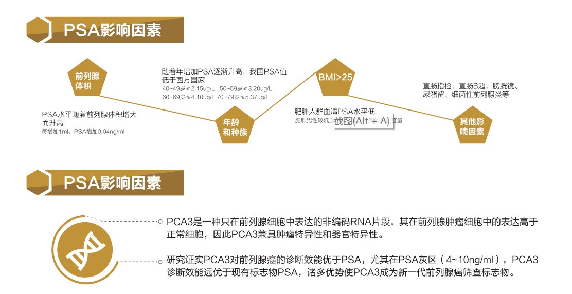 1691334451327278.png 1691334420750.png